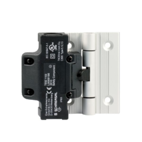 Schmersal Safety Switch For Hinged Guards Tesz